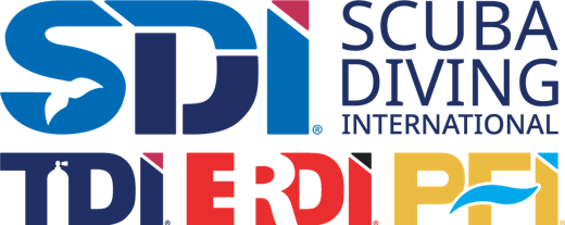 SDI, TDI, ERDI y PFI