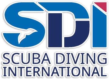 SDI