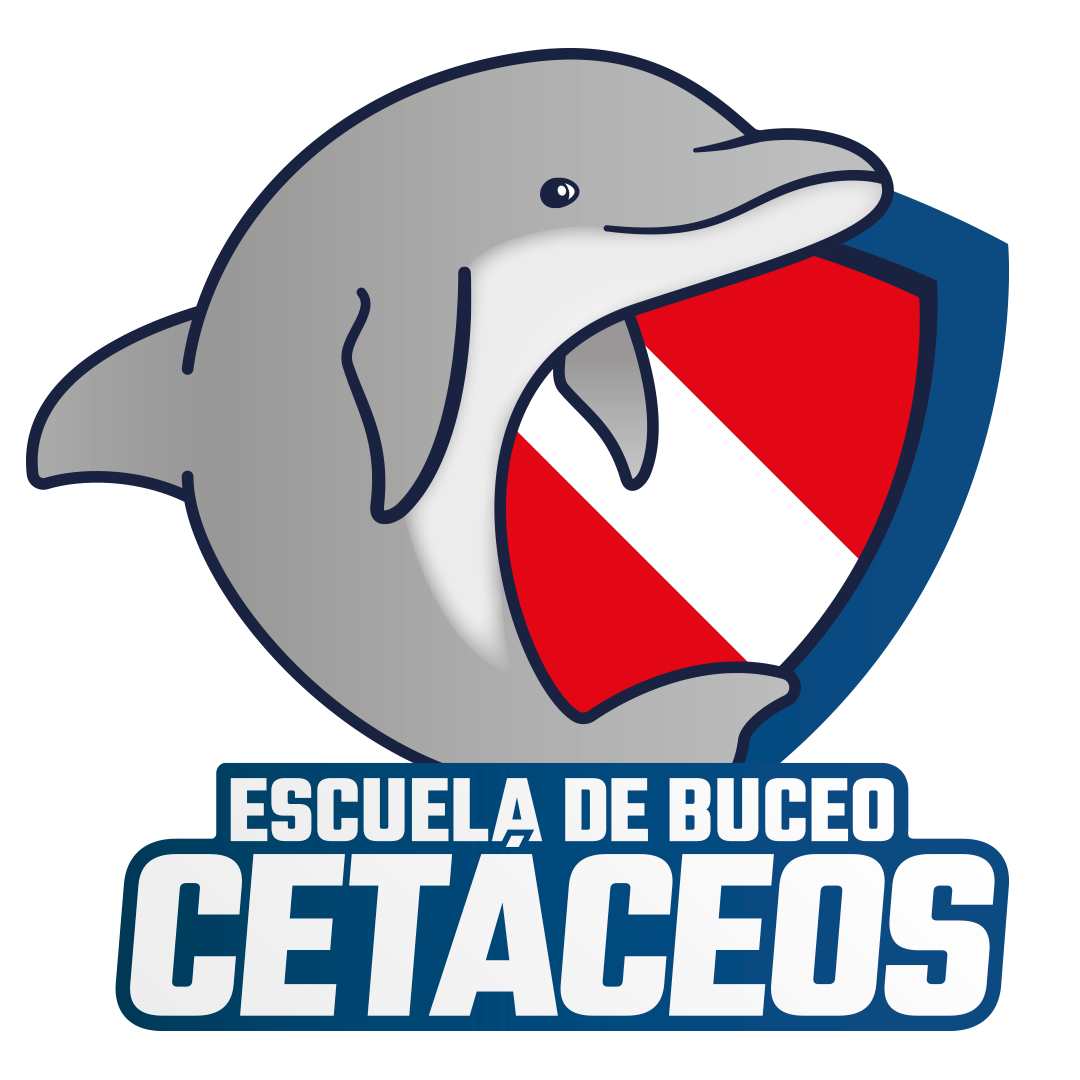 Escuela Nacional De Buceo Cetáceos